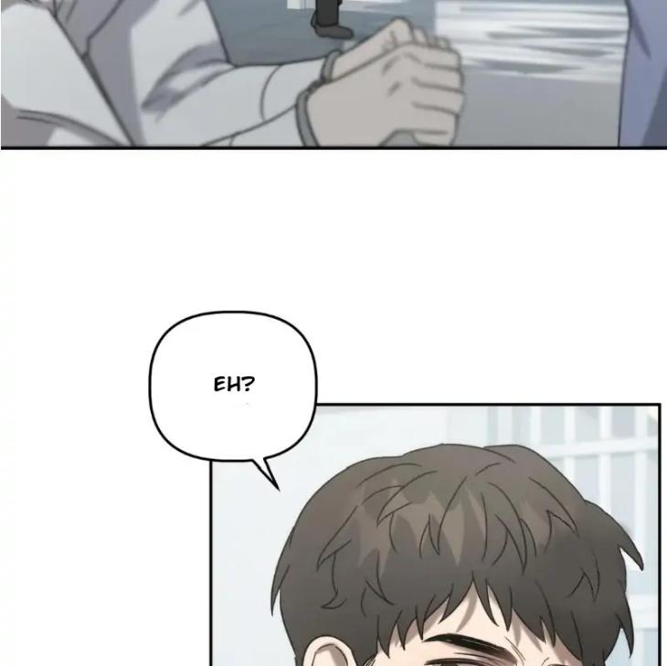 Did-It-Work-By-Rain-Lime-Tree-Eng page 5