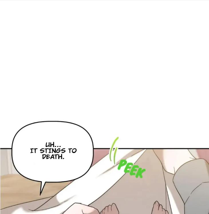 Did-It-Work-By-Rain-Lime-Tree-Eng page 19