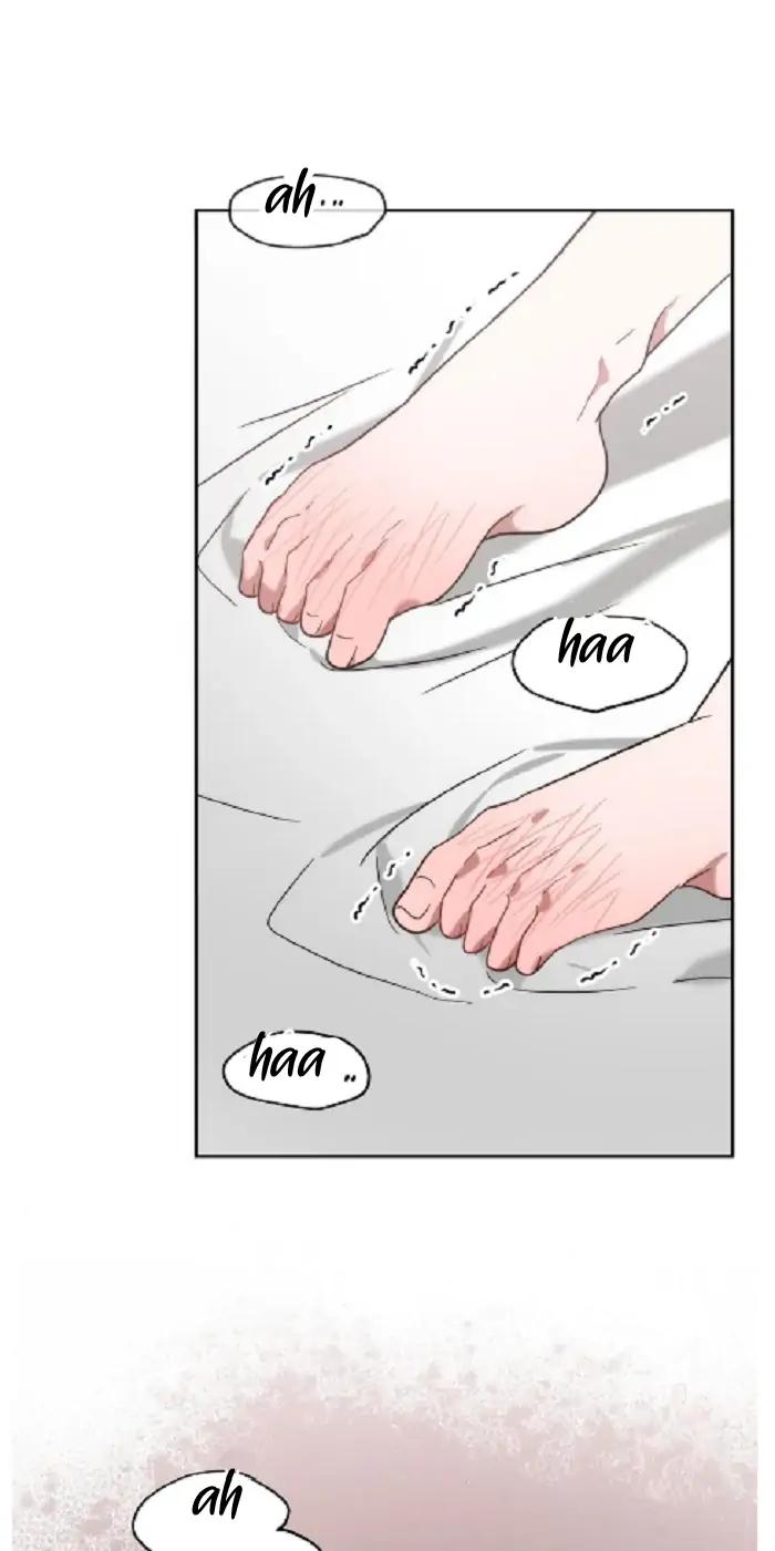 Did-It-Work-By-Rain-Lime-Tree-Eng page 3