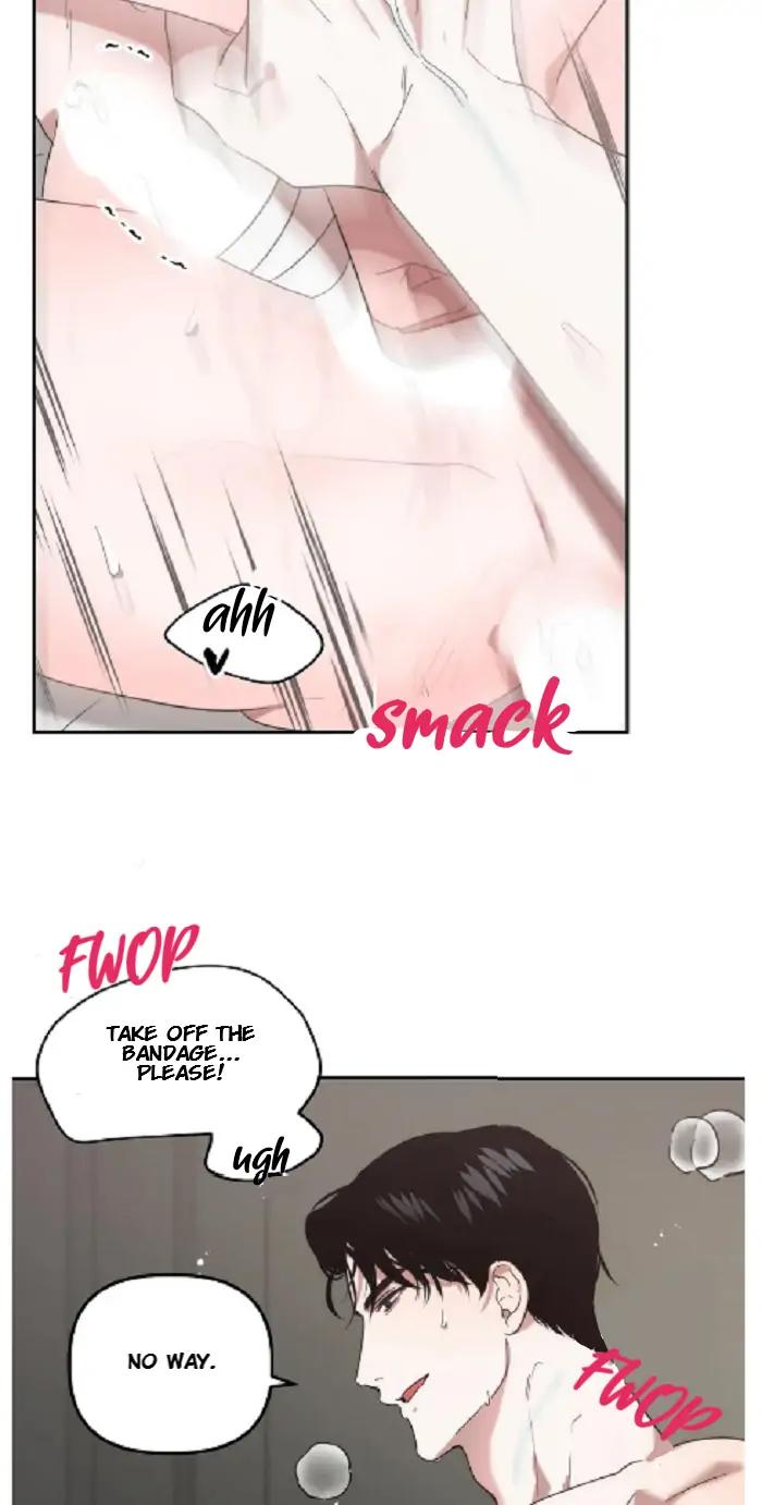 Did-It-Work-By-Rain-Lime-Tree-Eng page 6