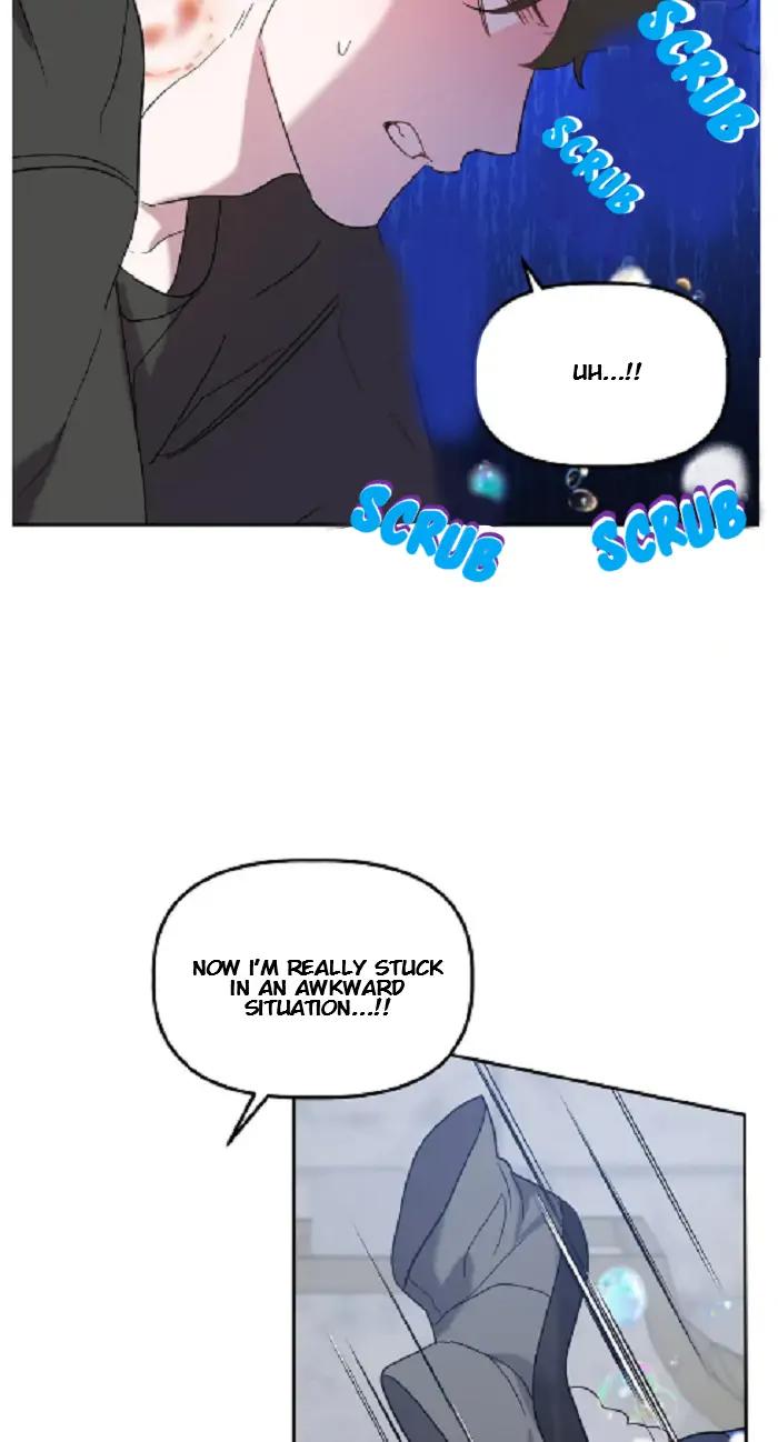 Did-It-Work-By-Rain-Lime-Tree-Eng page 26