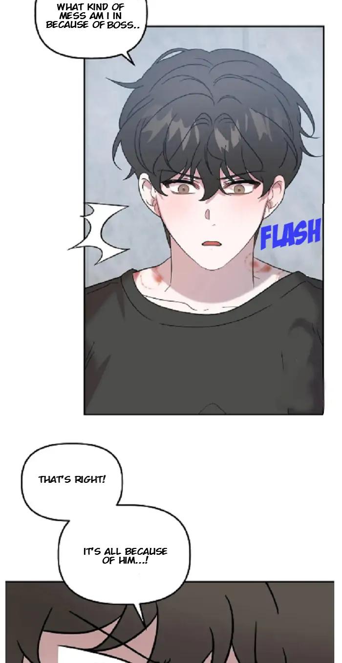 Did-It-Work-By-Rain-Lime-Tree-Eng page 29