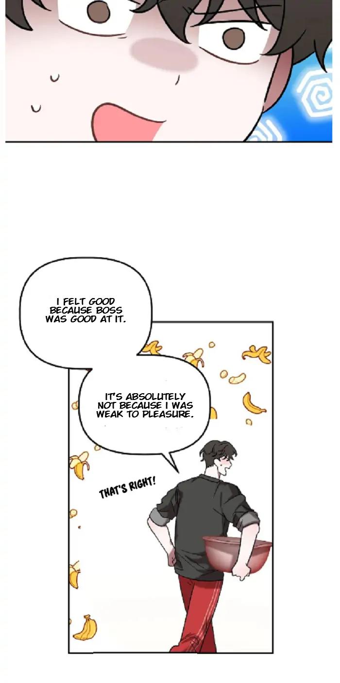 Did-It-Work-By-Rain-Lime-Tree-Eng page 30