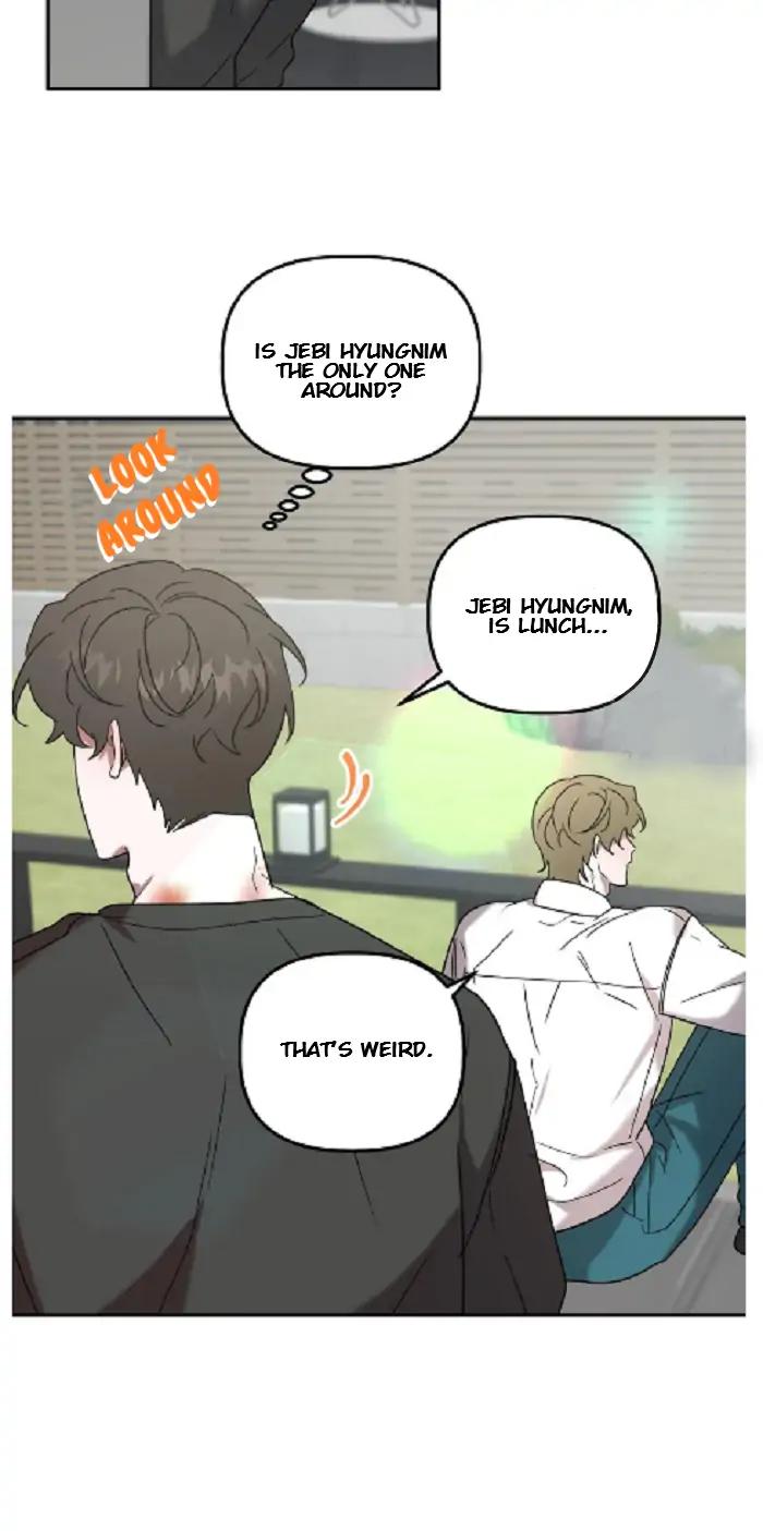 Did-It-Work-By-Rain-Lime-Tree-Eng page 33