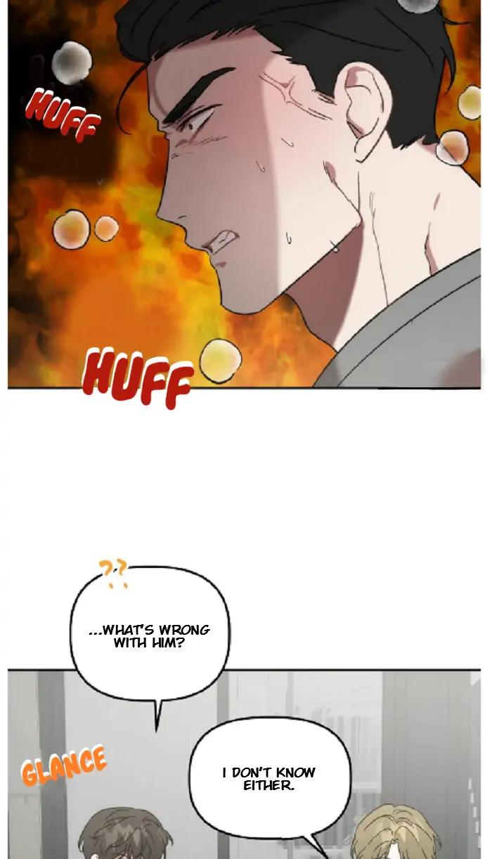 Did-It-Work-By-Rain-Lime-Tree-Eng page 37