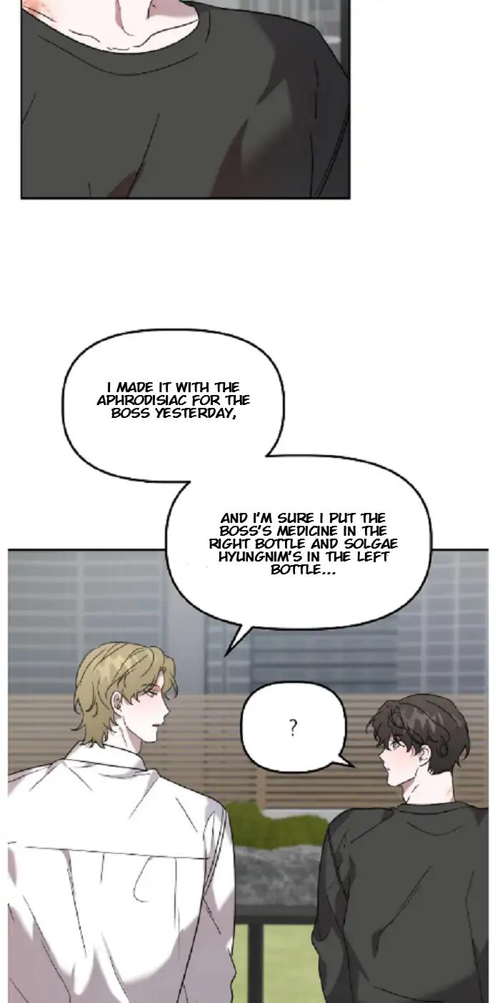 Did-It-Work-By-Rain-Lime-Tree-Eng page 40