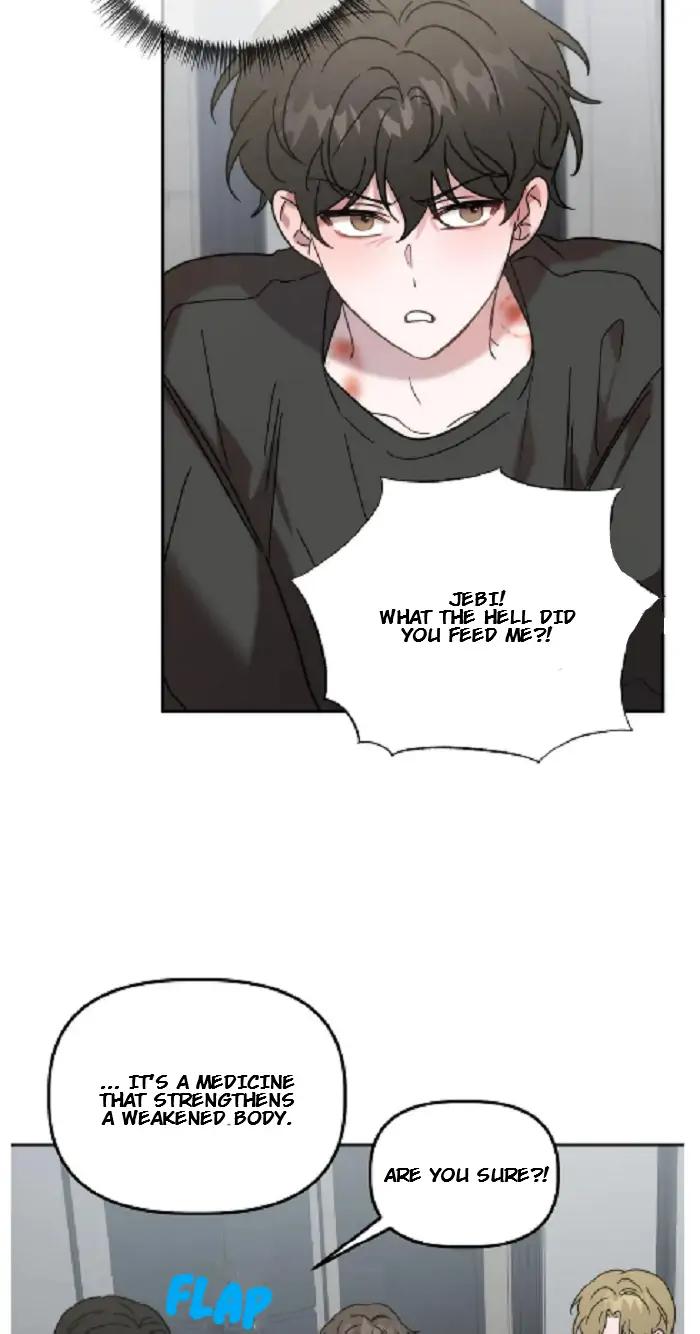 Did-It-Work-By-Rain-Lime-Tree-Eng page 43