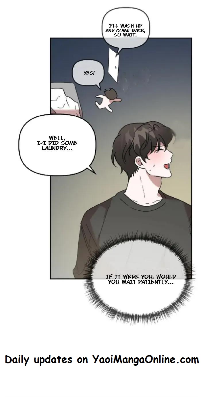 Did-It-Work-By-Rain-Lime-Tree-Eng page 51