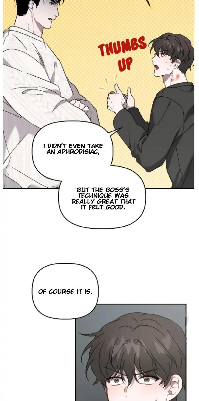 Did-It-Work-By-Rain-Lime-Tree-Eng page 5