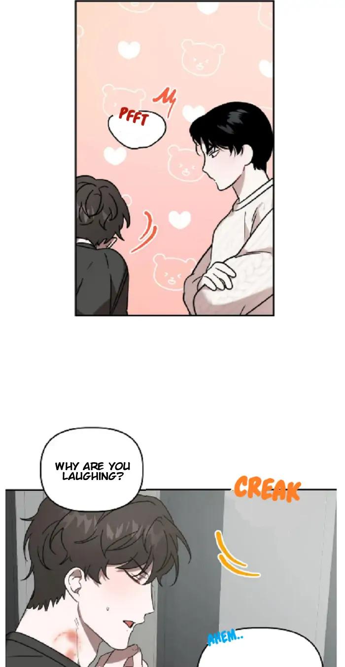 Did-It-Work-By-Rain-Lime-Tree-Eng page 8