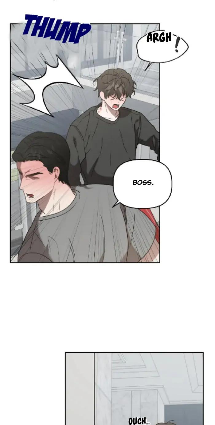 Did-It-Work-By-Rain-Lime-Tree-Eng page 12