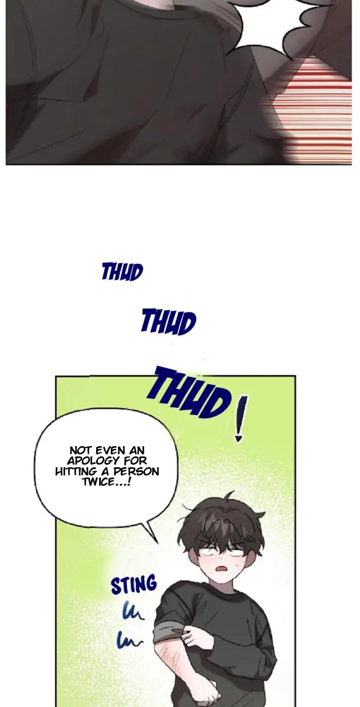 Did-It-Work-By-Rain-Lime-Tree-Eng page 14