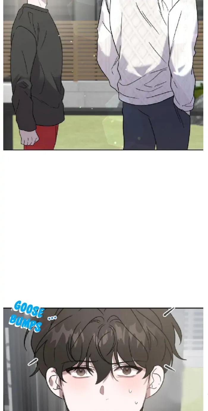 Did-It-Work-By-Rain-Lime-Tree-Eng page 56