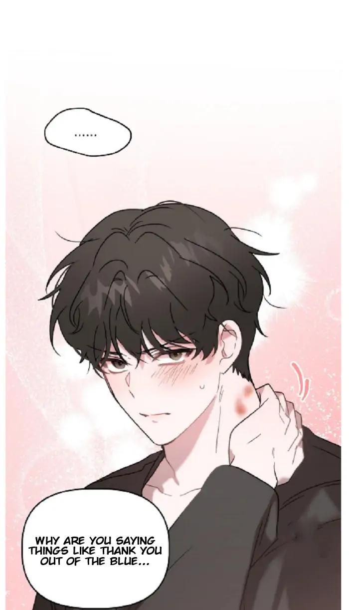 Did-It-Work-By-Rain-Lime-Tree-Eng page 60