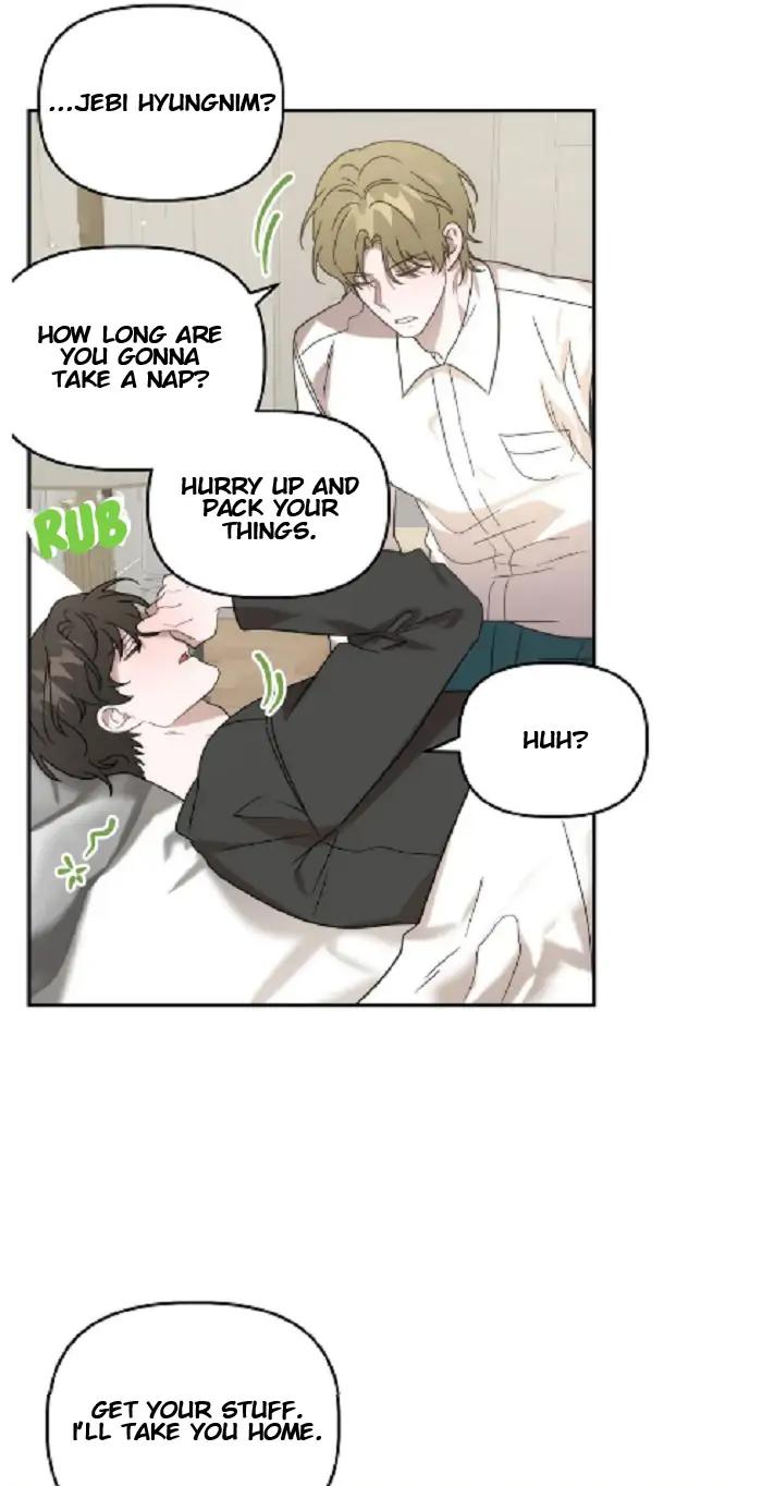 Did-It-Work-By-Rain-Lime-Tree-Eng page 4