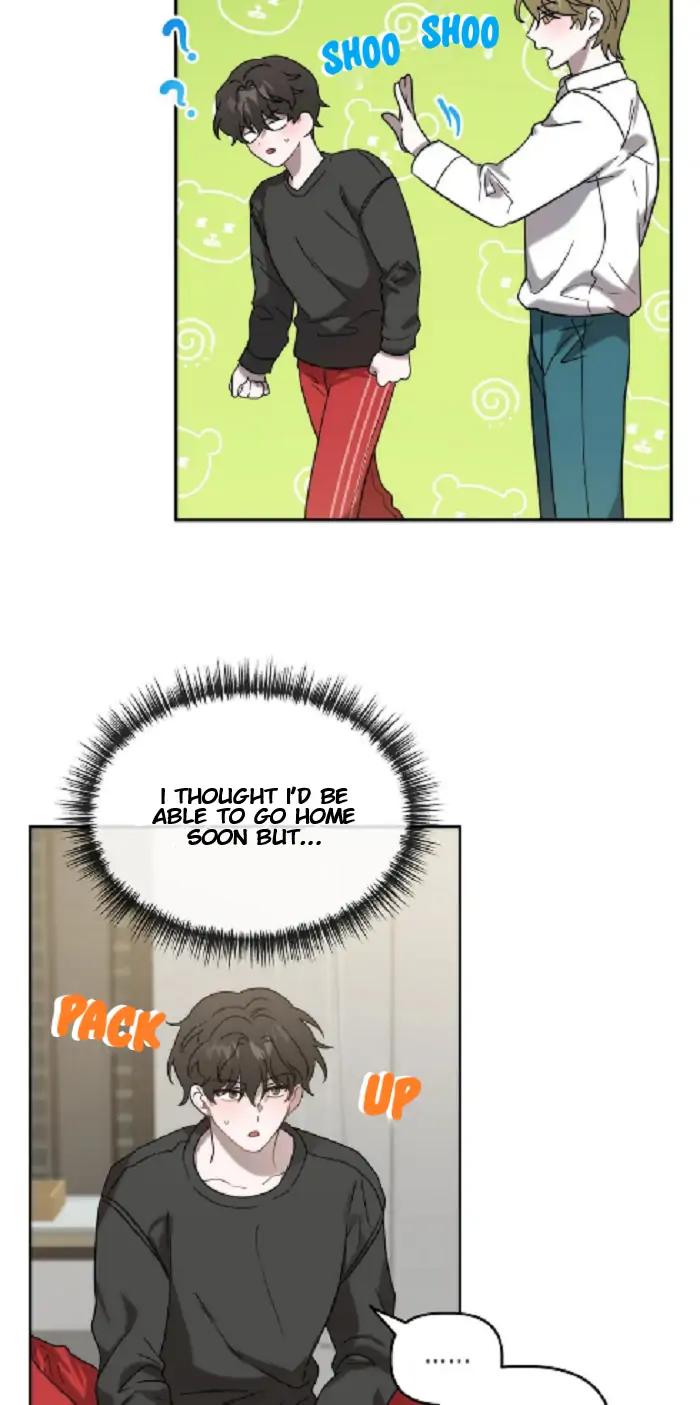 Did-It-Work-By-Rain-Lime-Tree-Eng page 6