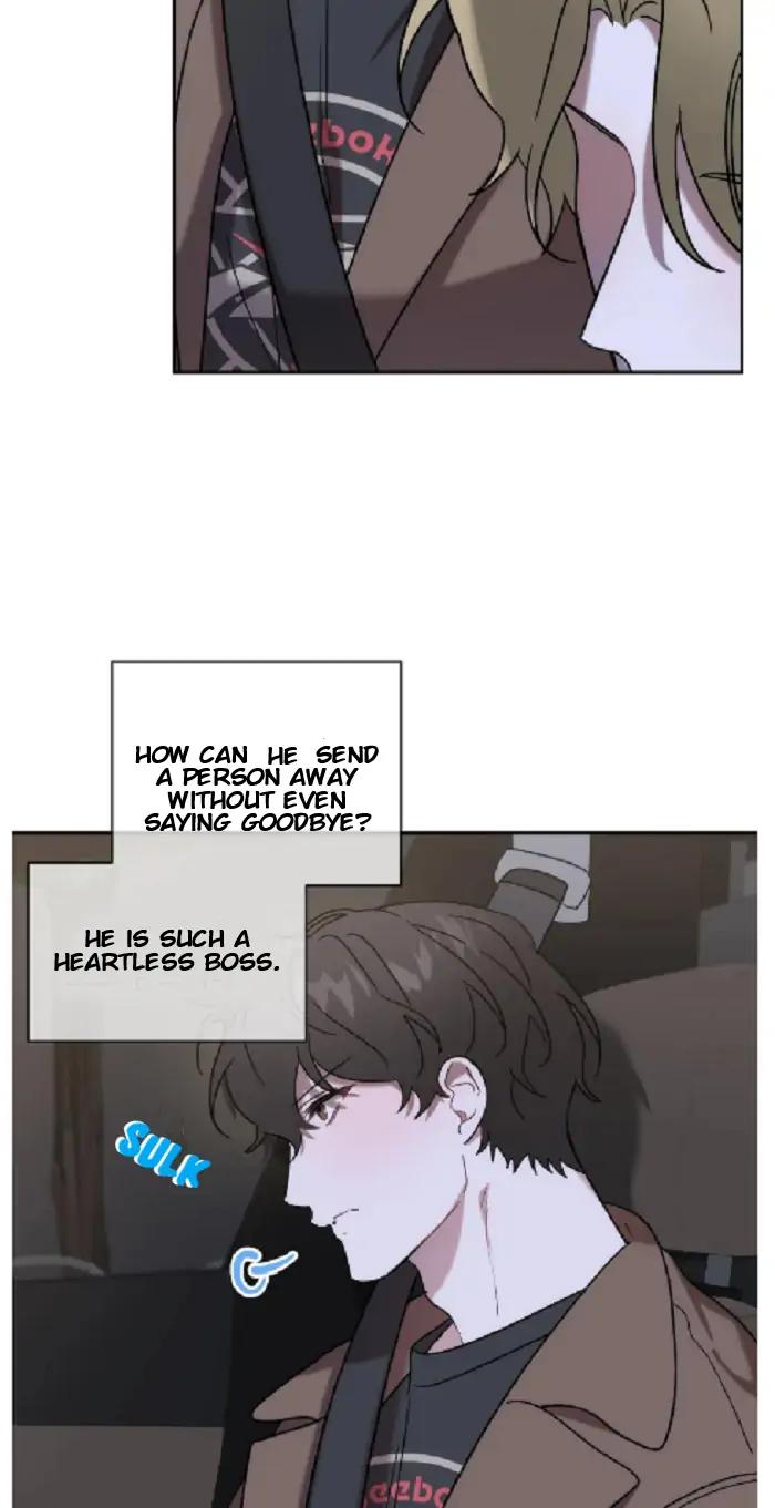 Did-It-Work-By-Rain-Lime-Tree-Eng page 14