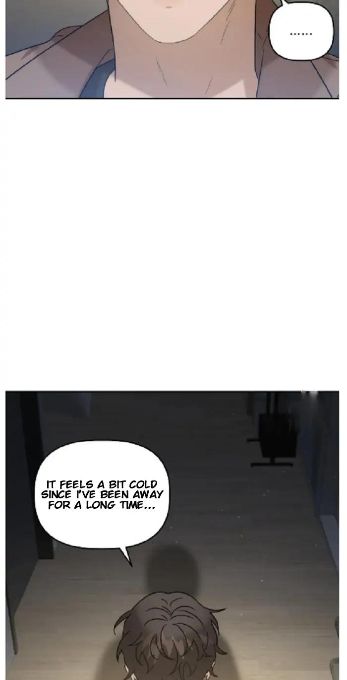 Did-It-Work-By-Rain-Lime-Tree-Eng page 19