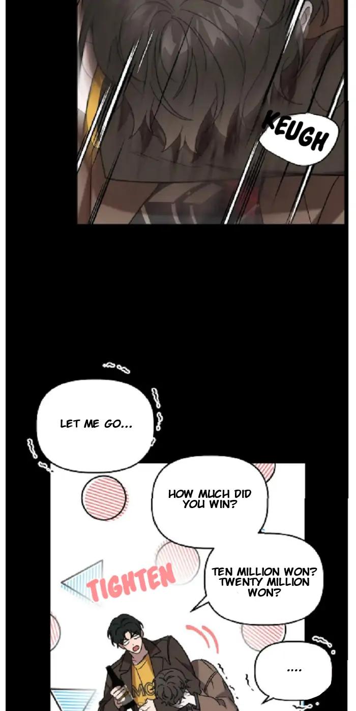 Did-It-Work-By-Rain-Lime-Tree-Eng page 7