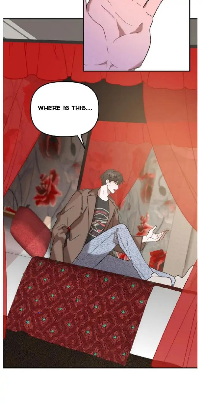Did-It-Work-By-Rain-Lime-Tree-Eng page 33