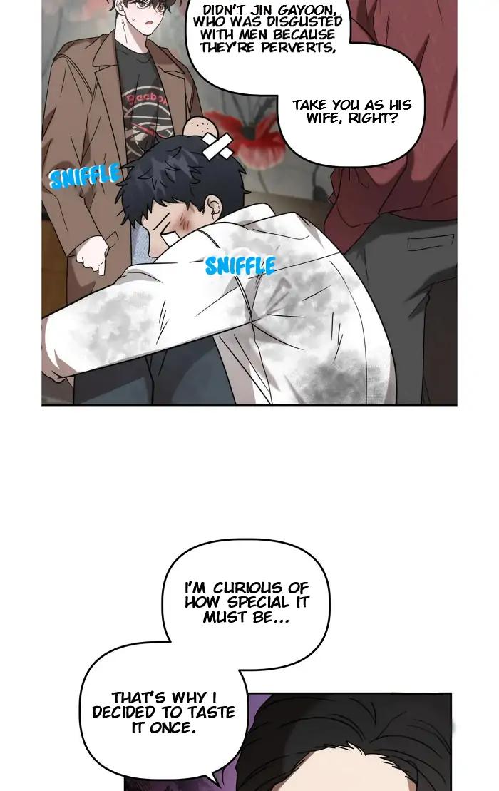 Did-It-Work-By-Rain-Lime-Tree-Eng page 13
