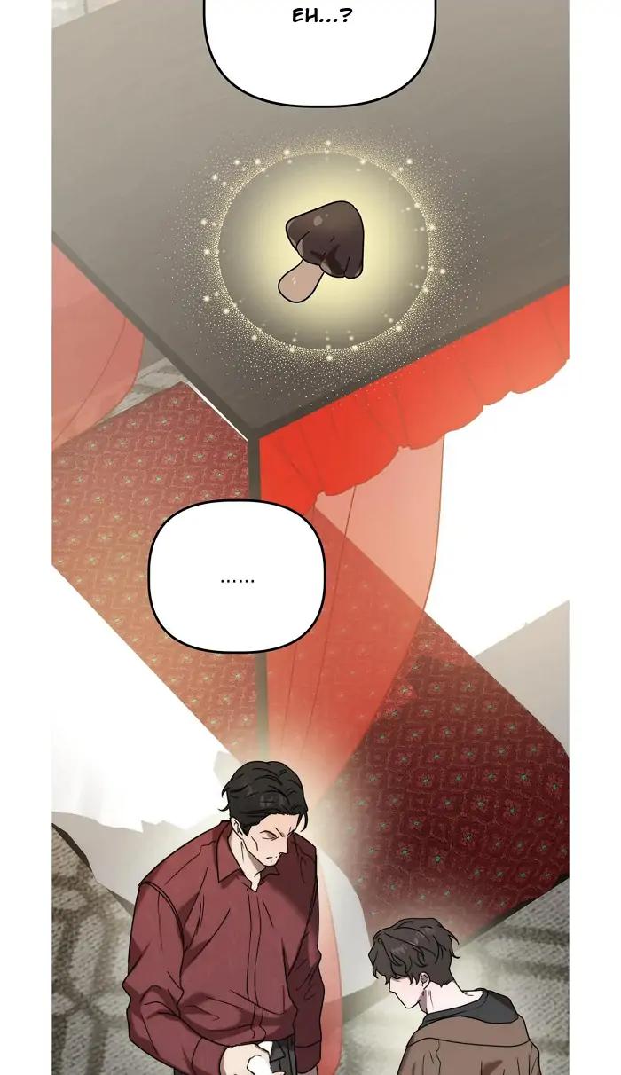Did-It-Work-By-Rain-Lime-Tree-Eng page 22