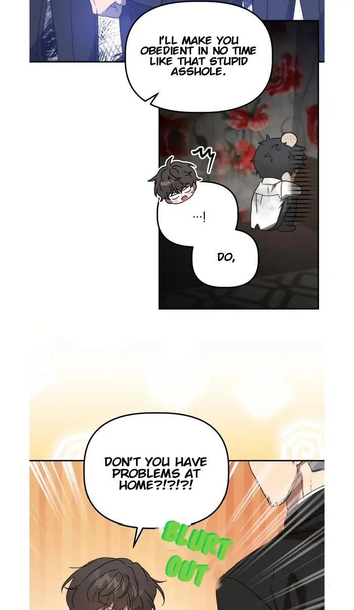 Did-It-Work-By-Rain-Lime-Tree-Eng page 36