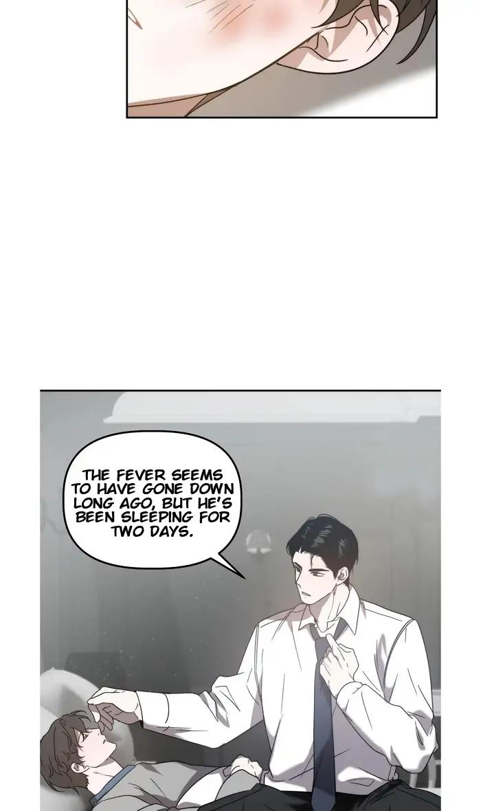 Did-It-Work-By-Rain-Lime-Tree-Eng page 17