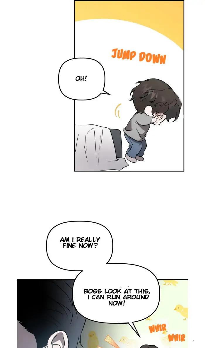Did-It-Work-By-Rain-Lime-Tree-Eng page 31