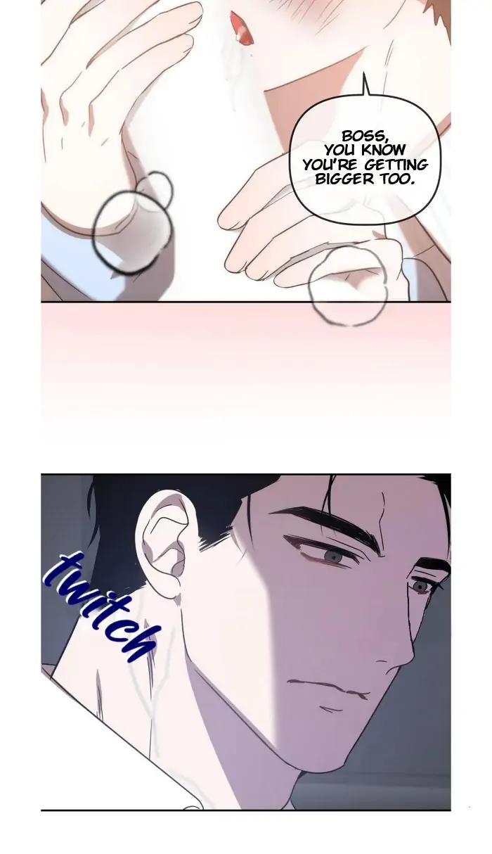 Did-It-Work-By-Rain-Lime-Tree-Eng page 23