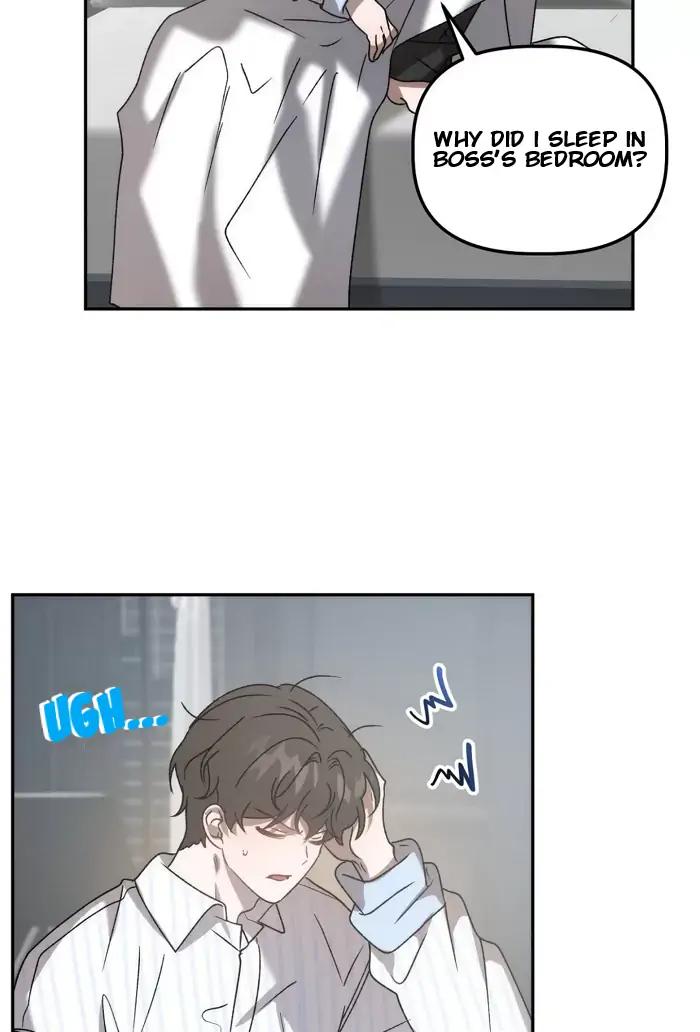 Did-It-Work-By-Rain-Lime-Tree-Eng page 20