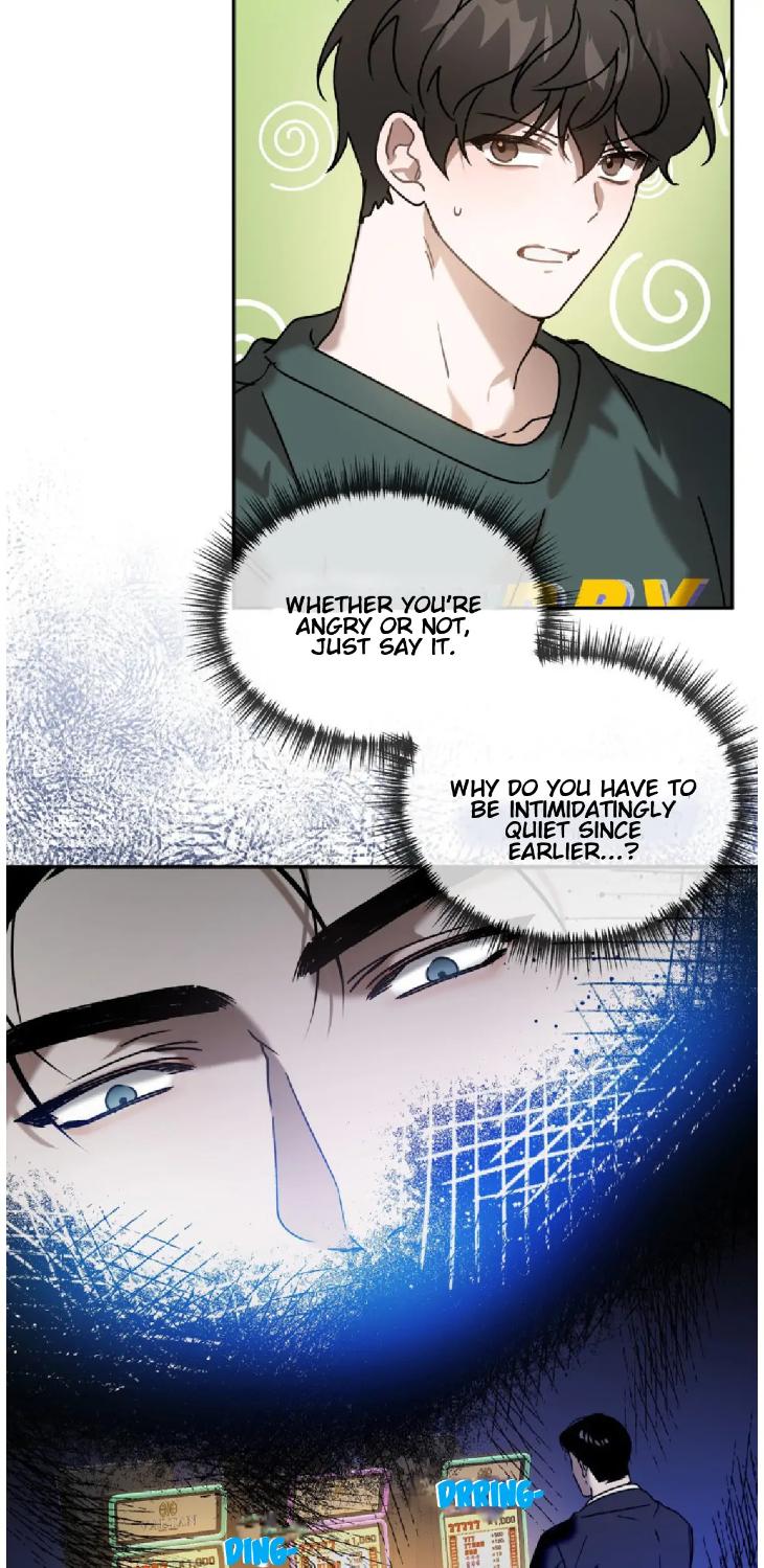 Did-It-Work-By-Rain-Lime-Tree-Eng page 5