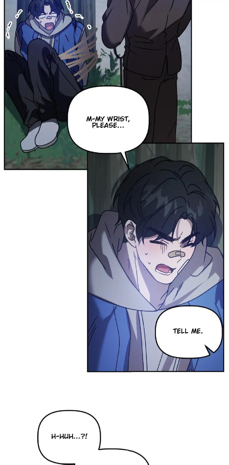 Did-It-Work-By-Rain-Lime-Tree-Eng page 47