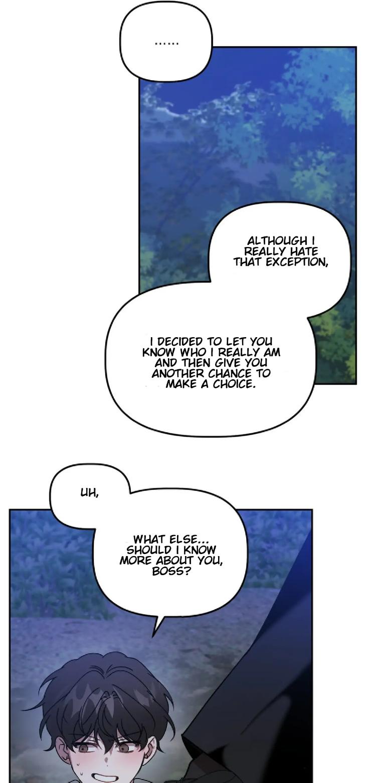 Did-It-Work-By-Rain-Lime-Tree-Eng page 12