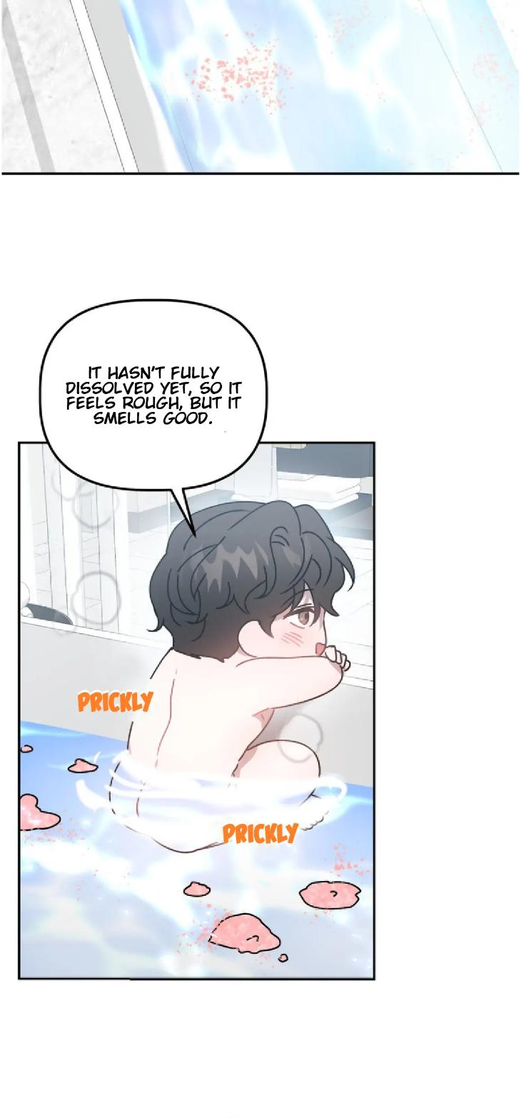 Did-It-Work-By-Rain-Lime-Tree-Eng page 24