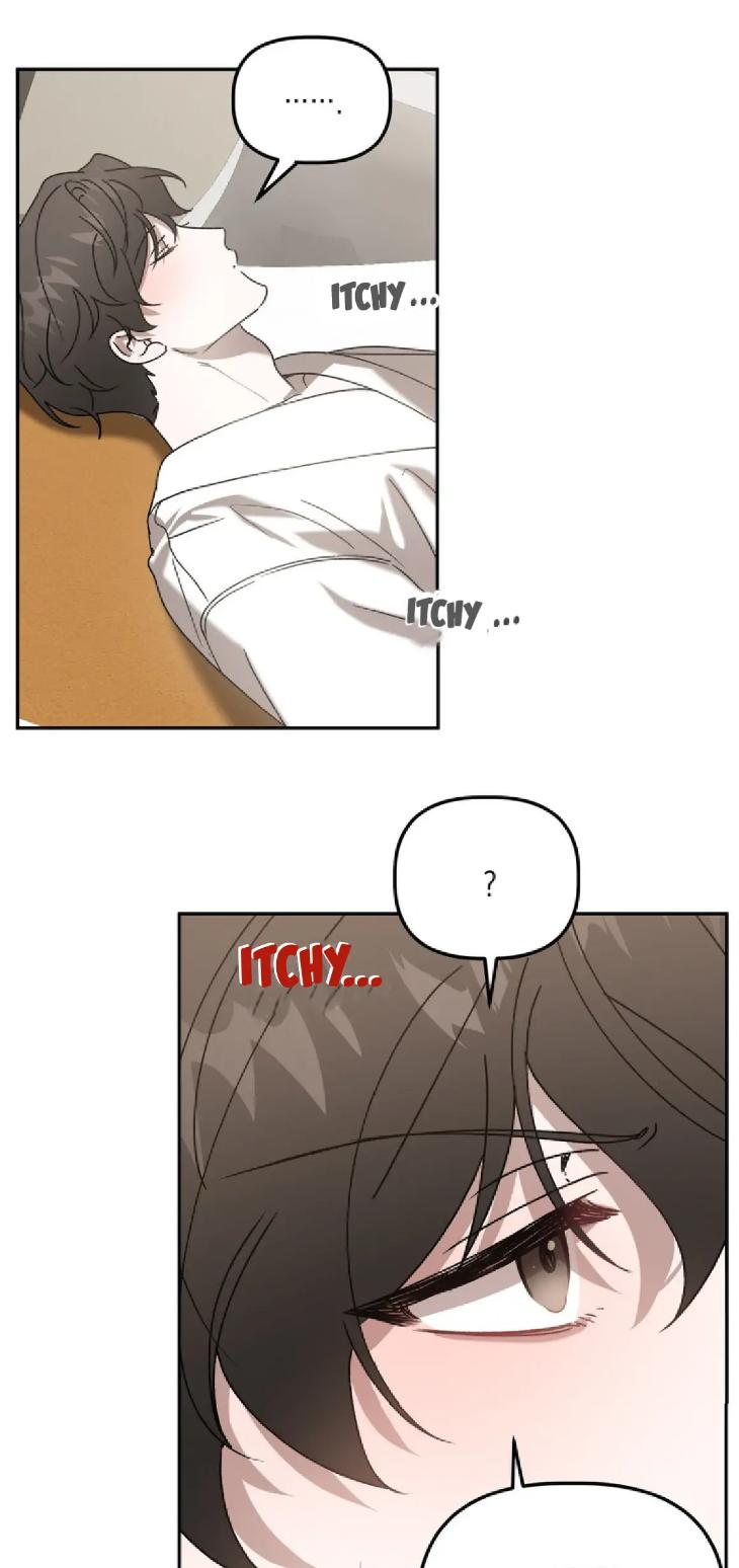 Did-It-Work-By-Rain-Lime-Tree-Eng page 30