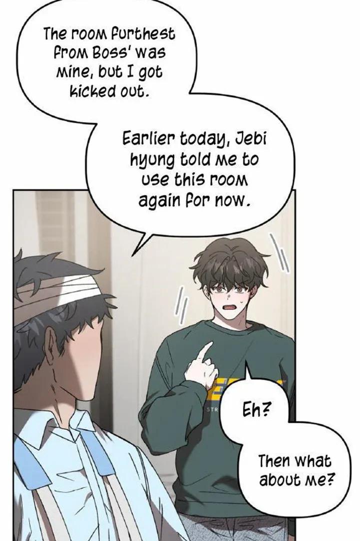 Did-It-Work-By-Rain-Lime-Tree-Eng page 7