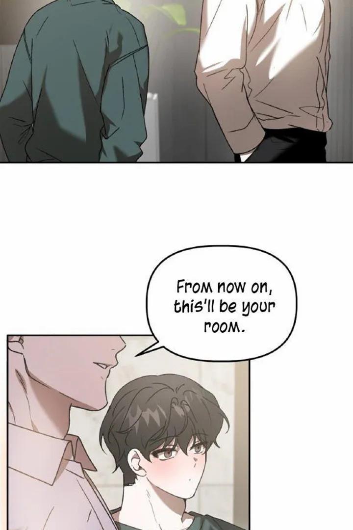 Did-It-Work-By-Rain-Lime-Tree-Eng page 17