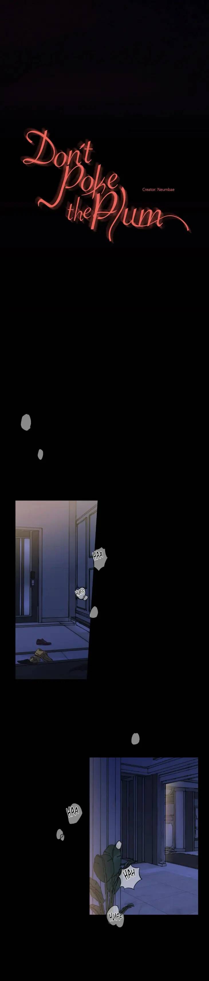 Dont-Poke-The-Plum-By-Neumbae-Eng page 17
