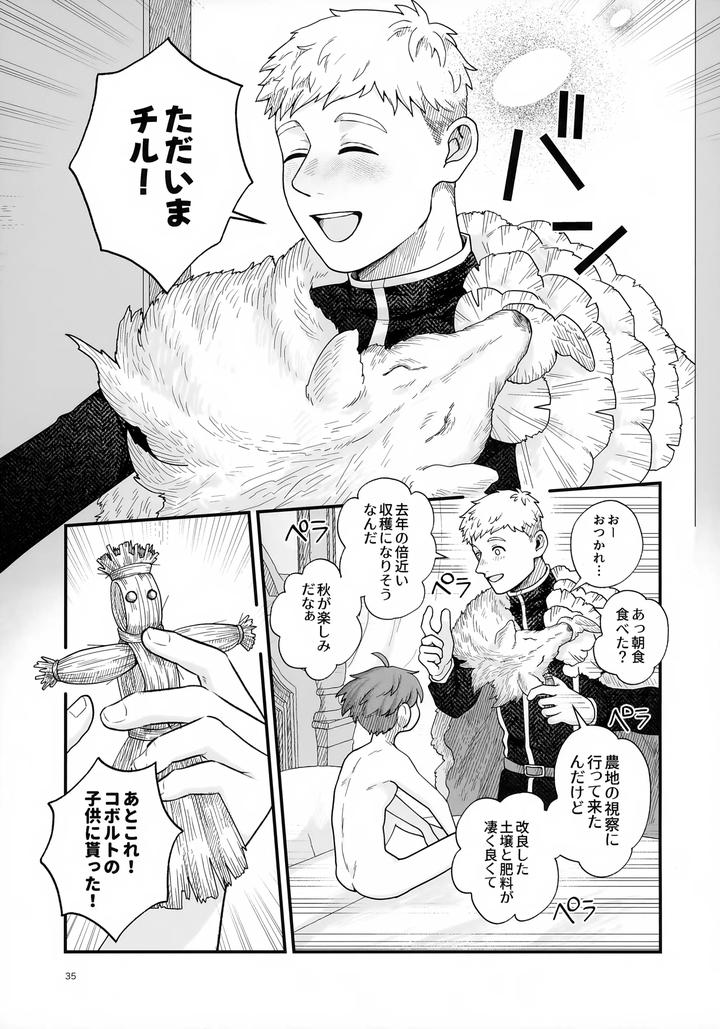 Dungeon-Meshi-Dj-Meshimase-Ousama-By-Nos-Ichiko-Jp page 35