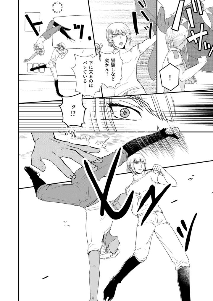 Gundam-Seed-Destiny-Dj-Hiyoku-No-Tori-Renri-No-Kizuna-By-Hikuhikkurabu-Hikuhikku-Jp page 15