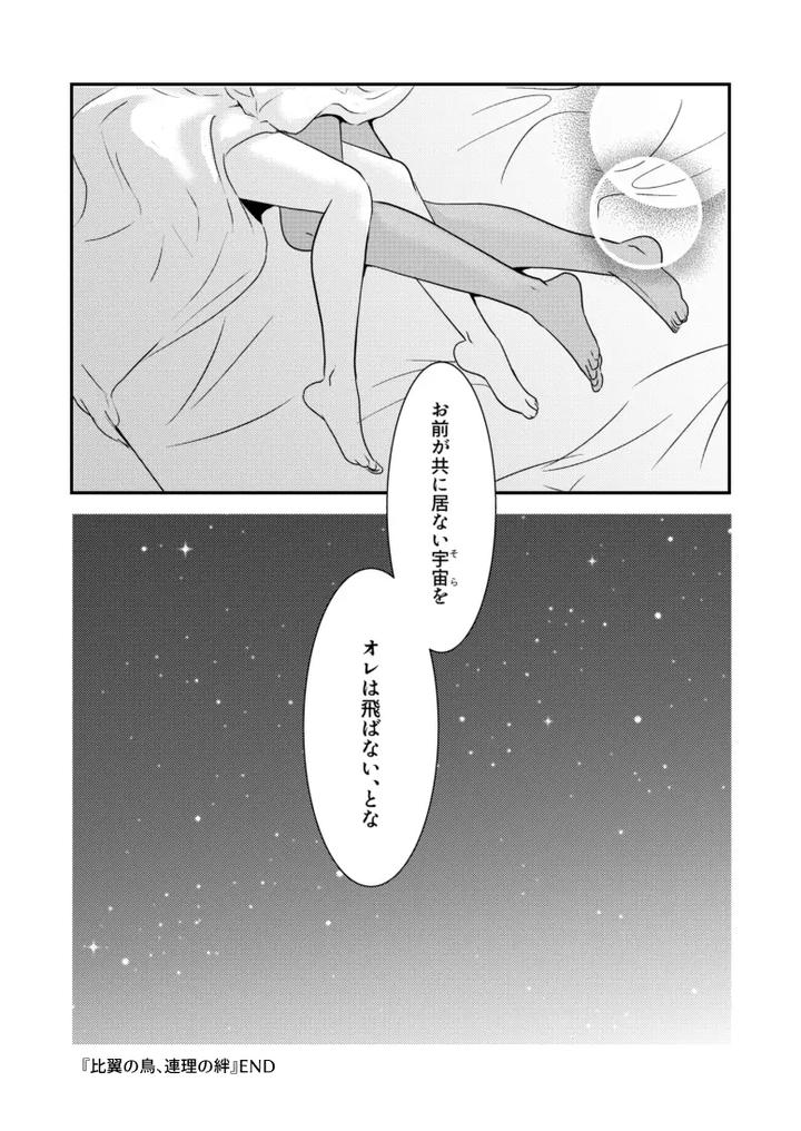 Gundam-Seed-Destiny-Dj-Hiyoku-No-Tori-Renri-No-Kizuna-By-Hikuhikkurabu-Hikuhikku-Jp page 36