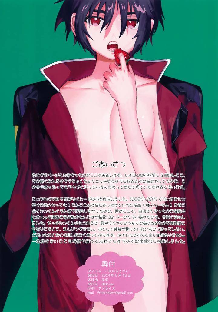 Gundam-Seed-Destiny-Dj-I-Wont-Forgive-You-Forever-By-Neo-De-Natsusaka-Jp page 2