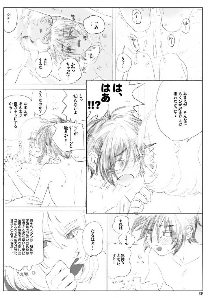 Gundam-Seed-Destiny-Dj-I-Wont-Forgive-You-Forever-By-Neo-De-Natsusaka-Jp page 13