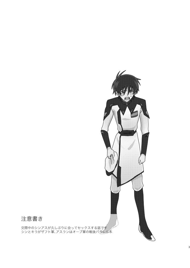 Gundam-Seed-Destiny-Dj-Of-Course-I-Want-To-By-Ibushihin-Namagx-Jp page 2