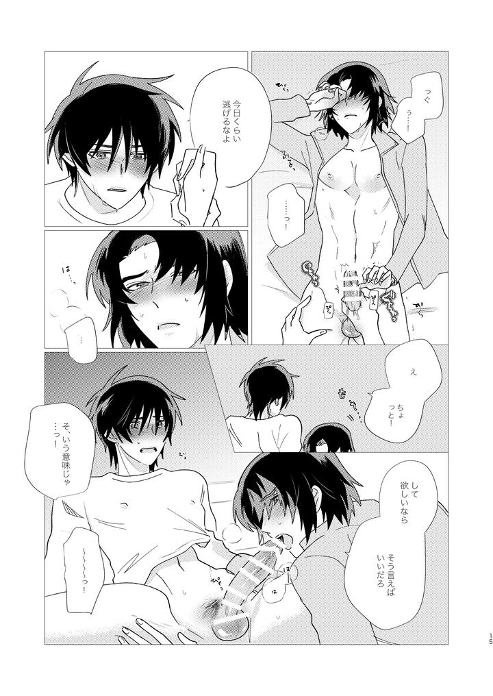 Gundam-Seed-Destiny-Dj-Of-Course-I-Want-To-By-Ibushihin-Namagx-Jp page 14