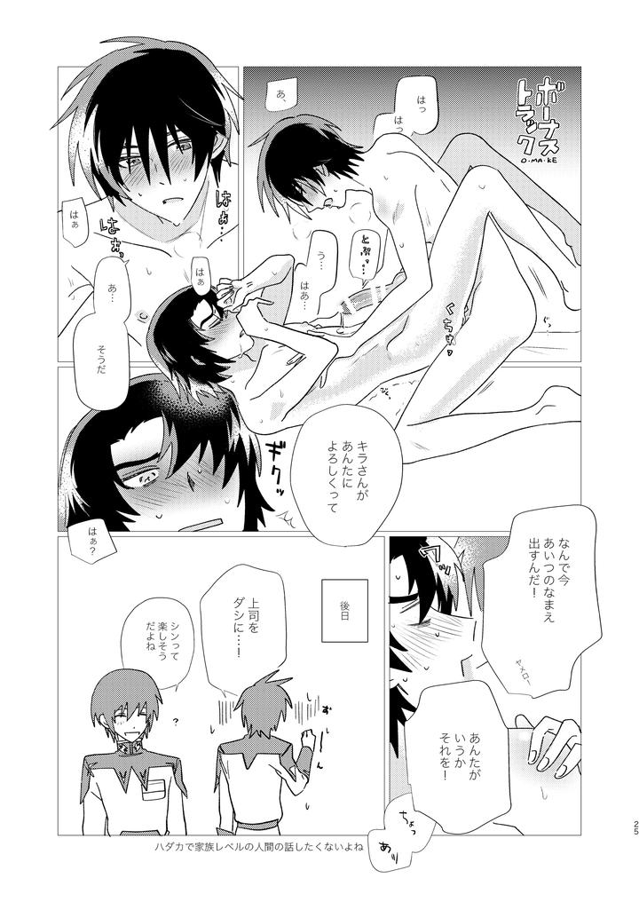 Gundam-Seed-Destiny-Dj-Of-Course-I-Want-To-By-Ibushihin-Namagx-Jp page 24