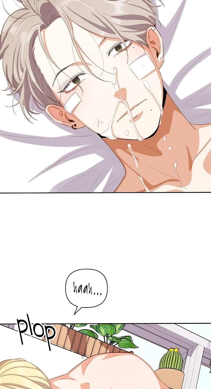 Highest-Order-Love-So-Pure-By-Plan-B-Eng page 44