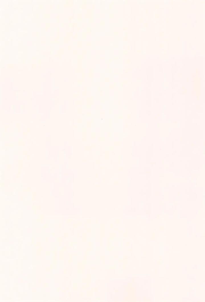 Hikaru-Ga-Shinda-Natsu-Dj-First-Love-By-Garagara-Gara-Chn page 3