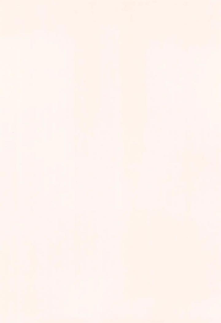Hikaru-Ga-Shinda-Natsu-Dj-First-Love-By-Garagara-Gara-Chn page 4